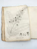 Annales du Mus&eacute;um d'histoire naturelle. [Tome dix-septi&egrave;me] IXe ann&eacute;e. Ve et VIe cahiers. MUS&Eacute;UM | CHEVREUL, Michel-Eug&egrave;ne; CANDOLLE, Augustin-Pyramus ...