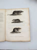 Annales du Mus&eacute;um d'histoire naturelle. IXe ann&eacute;e. [Tome dix-septi&egrave;me]. IIIe et IVe cahiers. MUS&Eacute;UM | CHEVREUL, Michel-Eug&egrave;ne; GEOFFROY SAINT-HILAIRE, ...