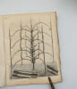 Annales du Mus&eacute;um d'histoire naturelle. [Tome treizi&egrave;me]. VIIe ann&eacute;e, IIe et IIIe cahiers. MUS&Eacute;UM | CUVIER, Georges; GEOFFROY SAINT-HILAIRE, &Eacute;tienne