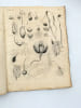 Annales du Mus&eacute;um d'histoire naturelle. [Tome treizi&egrave;me]. VIIe ann&eacute;e, IIe et IIIe cahiers. MUS&Eacute;UM | CUVIER, Georges; GEOFFROY SAINT-HILAIRE, &Eacute;tienne