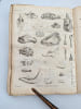 Annales du Mus&eacute;um d'histoire naturelle. [Tome treizi&egrave;me]. VIIe ann&eacute;e, IIe et IIIe cahiers. MUS&Eacute;UM | CUVIER, Georges; GEOFFROY SAINT-HILAIRE, &Eacute;tienne