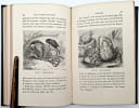 Les Plages de la France. Quatri&egrave;me &eacute;dition. LANDRIN, Armand