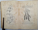 Le Potager d'un curieux : Histoire, Culture & Usages de 200 plantes comestibles peu connues ou inconnues. PAILLIEUX, A.; BOIS, D