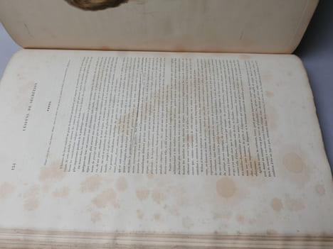 Leçons sur les maladies de la peau. CAZENAVE, P.-L. Alphée