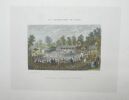Bois de Boulogne. Théâtre des fleurs du Pré Catelan : gravure. GAILDRAU, Jules et LEFEBVRE, E