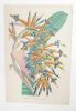 Billbergia Moreliana. : lithographie. LEMAIRE, Charles