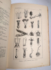 La clef de la botanique. Iconographie et analyses, mises en regard des figures. BOSSU, Antonin Dr