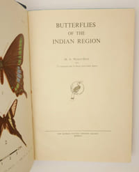 Butterflies of the Indian region