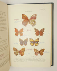 Butterflies of the Indian region