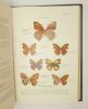 Butterflies of the Indian region. WYNTER-BLYTH (M.A.)