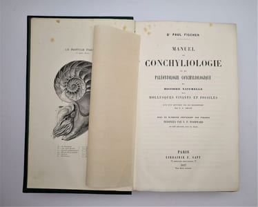 Manuel de conchyliologie et de paléontologie conchyliologique, ou histoire naturelle des mollusques vivants et fossiles