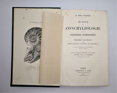 Manuel de conchyliologie et de paléontologie conchyliologique, ou histoire naturelle des mollusques vivants et fossiles. FISCHER, Paul