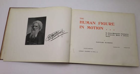 The Human Figure in Motion