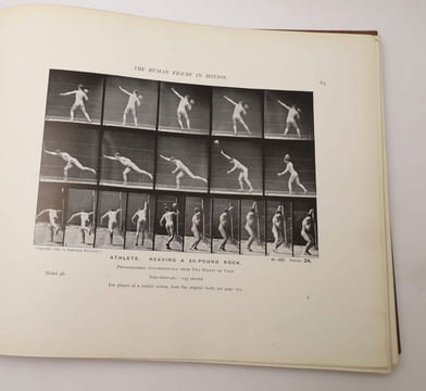 The Human Figure in Motion. MUYBRIDGE, Eadweard
