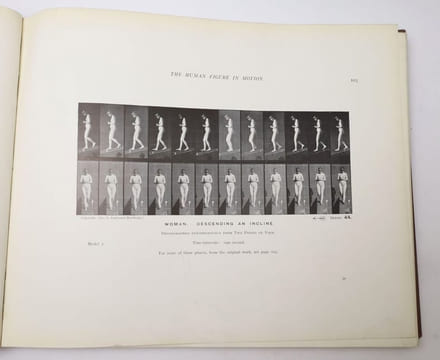 The Human Figure in Motion. MUYBRIDGE, Eadweard
