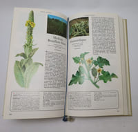 Secrets et vertus des plantes médicinales