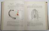Anatomie humaine descriptive et topographique. ROUVIÈRE, Henri