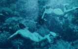 Hekura : The Diving Girls' Island. MARAINI, Fosco