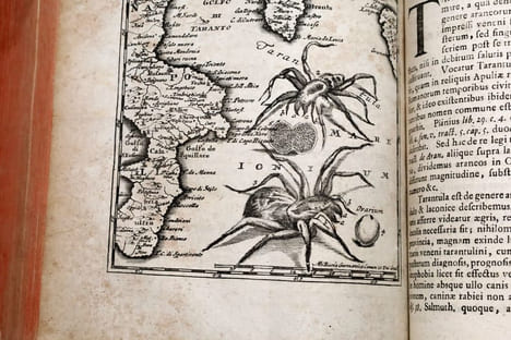 Opera omnia medico-practica et anatomica. Accendunt I.D Santorini Opuscula quatuor. BAGLIVI, Giorgio