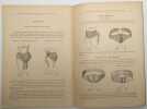 Bandages herniaires. LÉON ET JULES RAINAL FRÈRES