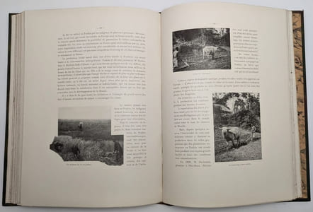 ?L'Empire Colonial de la France.L'Indochine. Cochinchine.Cambodge.Laos.Annam.Tonkin.?