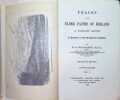 Traces of the elder faiths of Ireland a Folklore sketch  a handbook of Erish pre-Christian traditions   In two volumes complete. W. G. Wood-Martin