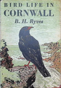 Bird life in Cornwall