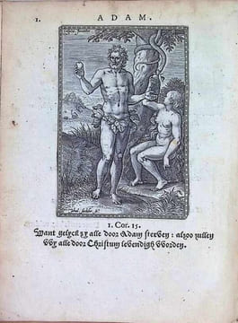 DE HELDEN GODES DES OUWDEN VERBONDS, Met kunstige beeldenissen vertoont, en poeetelijck verklaert. Hymnus of Lofzangh van de Christelycke Ridder , De ...