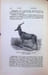 The Mammals of South Africa Vol. I Primates , Carnivora and Ungulata , the Fauna of South Africa. W. L. Sclater