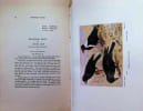 Shanghai Birds A study of bird life in Shanghai and the Surrounding Districts. E. S. Wilkinson