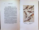 Shanghai Birds A study of bird life in Shanghai and the Surrounding Districts. E. S. Wilkinson