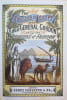 The English in Egypt with a full and descriptive Life of General Gordon, the hero of Khartoum.. 