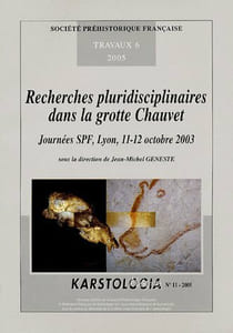 LA GROTTE CHAUVET A VALLON PONT D'ARC