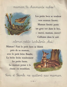 ALLONS AU BOIS JOLI . 2ème LIVRET