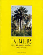 PALMIERS POUR LES CLIMATS TEMPERES