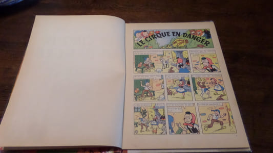 LE CIRQUE EN DANGER