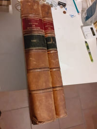 1er volume : Histoire de la ville de Montpellier, depuis son origine jusqu'à notre tems. Avec un abrégé historique de tout ce qui précéda son établissement. A laquelle on a ajouté l'histoire particulière des juridictions anciennes et modernes de cette ville, avec les statuts qui lui sont propres. 2ème volume : Seconde partie contenant l'origine de son église, la suite de se évêques, ses églises particulières, ses monastères anciens et modernes, ses hôpitaux. Avec un abrégé historique de son université et de ses collèges
