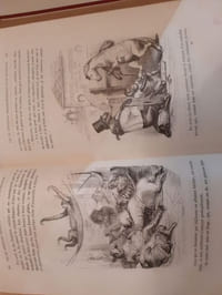 Vie Privée et Publique des Animaux