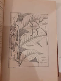 Catalogue des produits de l'Indochine