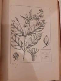 Catalogue des produits de l'Indochine