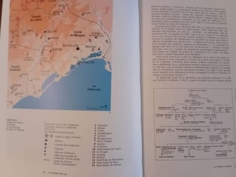 Montpellier : la ville médiévale. Ghislaine Fabre - Thierry Lochard