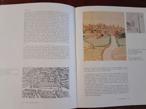 Montpellier : la ville médiévale. Ghislaine Fabre - Thierry Lochard