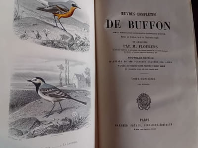 Oeuvres complètes