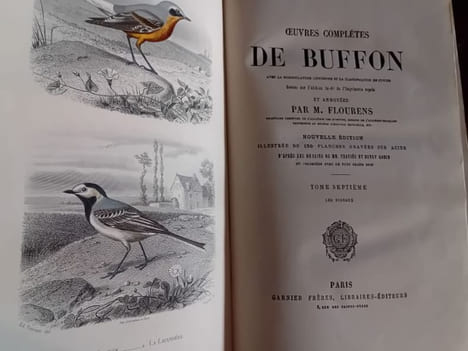 Oeuvres complètes. Buffon