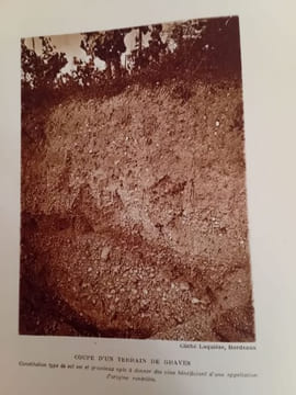 Le Vignoble girondin. Germain Lafforgue