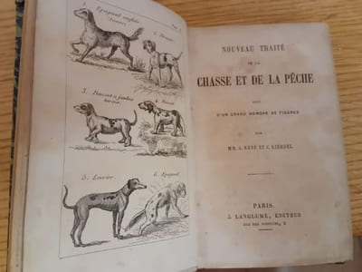 Nouveau traité de la chasse et de la pêche