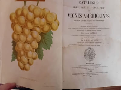 Catalogue illustré et descriptif des vignes américaines