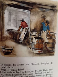 Rémi des Rauches