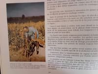 La Garrigue et ses hommes