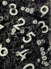 1, 2, 3, 4, 5, Compter en s'amusant